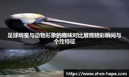 足球明星与动物形象的趣味对比展现精彩瞬间与个性特征